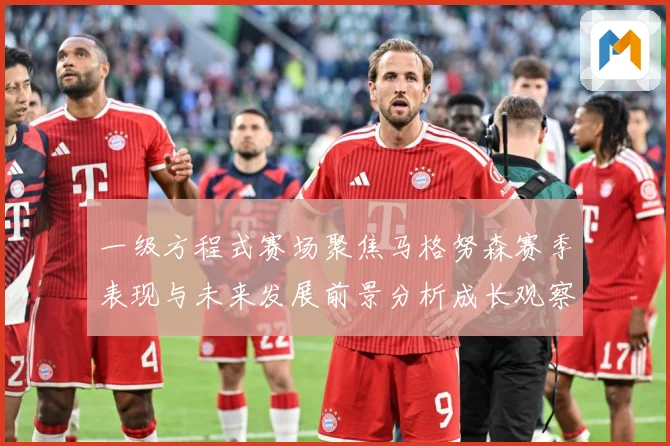一级方程式赛场聚焦马格努森赛季表现与未来发展前景分析成长观察-深度解析