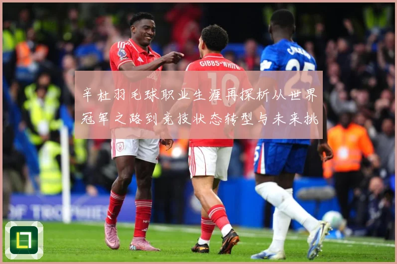 辛杜羽毛球职业生涯再探析从世界冠军之路到竞技状态转型与未来挑战-深度解析