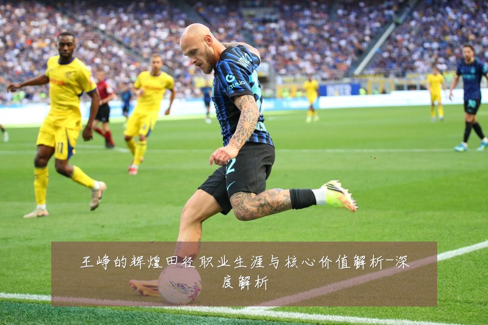 王峥的辉煌田径职业生涯与核心价值解析-深度解析