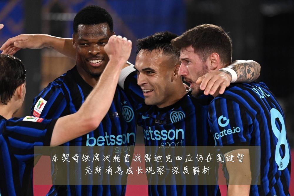 东契奇缺席次轮首战雷迪克回应仍在复健暂无新消息成长观察-深度解析
