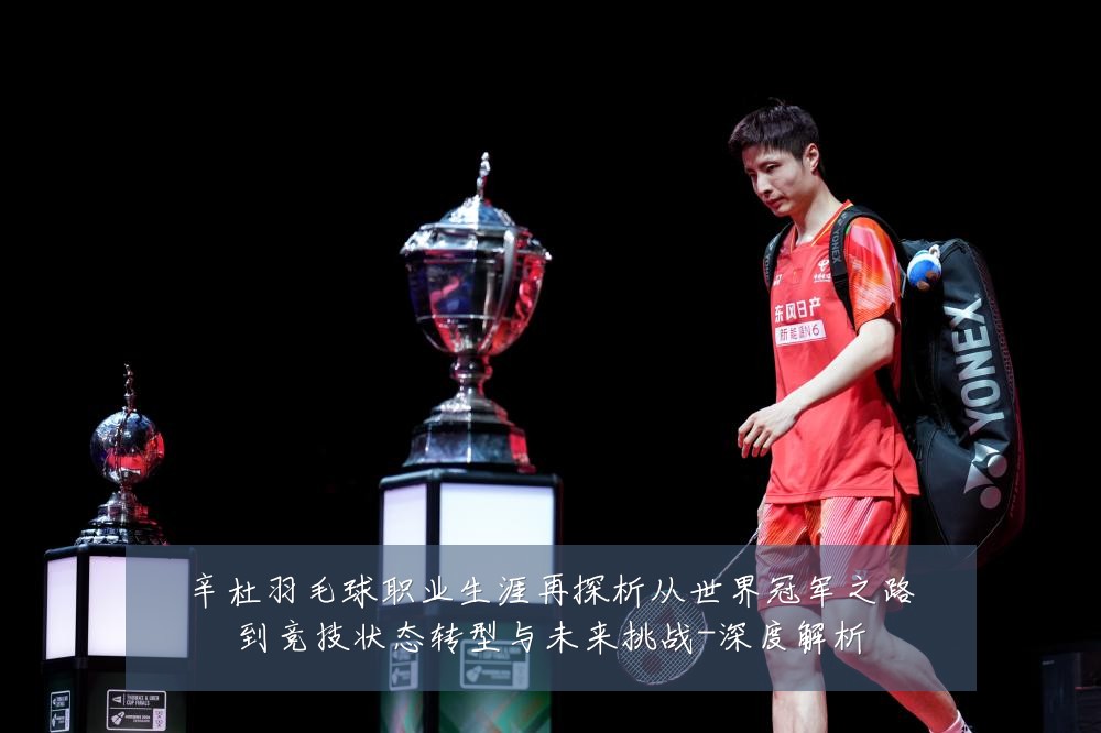 辛杜羽毛球职业生涯再探析从世界冠军之路到竞技状态转型与未来挑战-深度解析