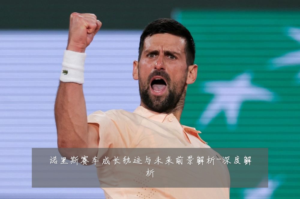 诺里斯赛车成长轨迹与未来前景解析-深度解析